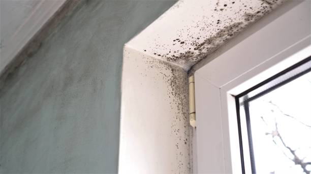 Water Damage Restoration in Greeneville, TN