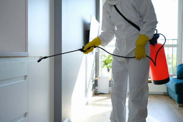 Certified Mold Removal in Greeneville, TN